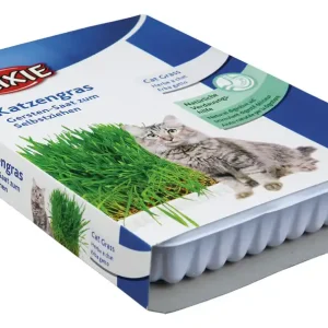 Sparpaket 2 x 100 g Trixie Katzengras Katzen Snack Angebot